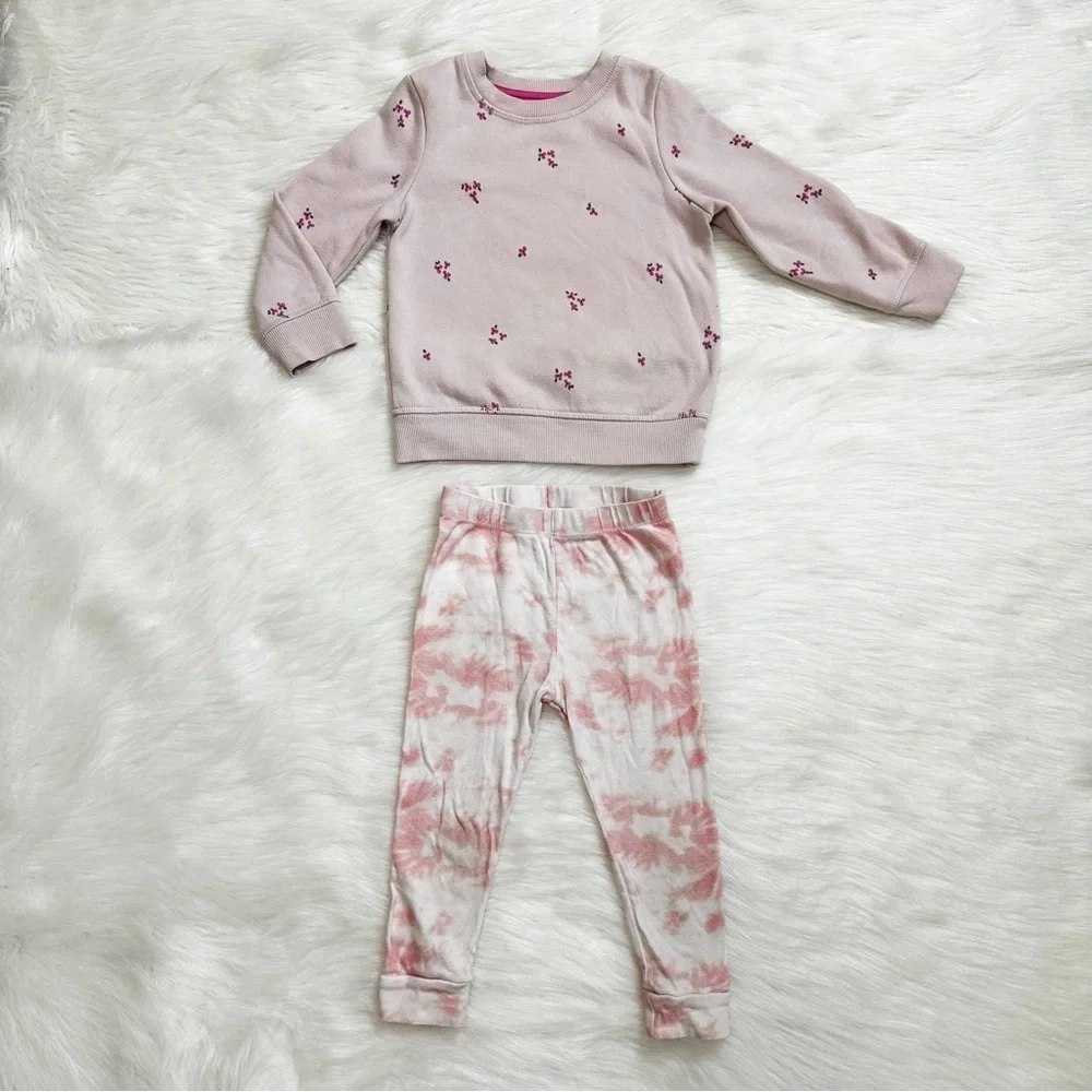 3T Girls Toddler Long Sleeves and Pants Clothes LOT